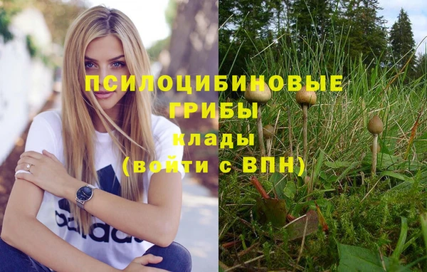 тгк Горняк