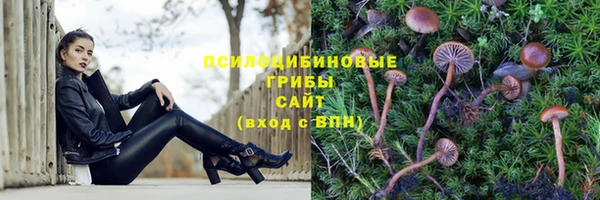 тгк Горняк